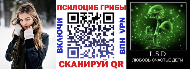 закладки  Слюдянка  Галлюциногенные грибы мицелий 